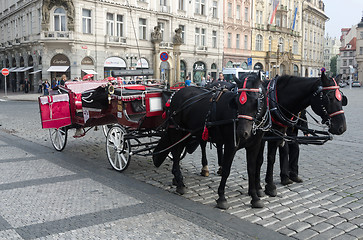 Image showing Horse Carriage