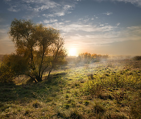 Image showing Evening landscape