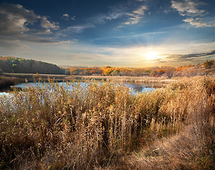 Image showing Reeds and lake