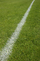 Image showing Green soccer field