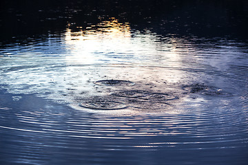Image showing Water circles in the lake