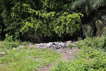 Image showing Landfill between trees and palms