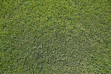 Image showing Green field from above