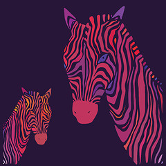 Image showing Zebra. Vector illustration.