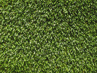 Image showing Artificial grass