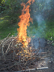 Image showing Burning fire