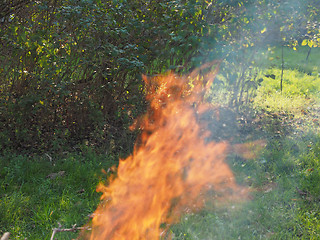 Image showing Burning fire