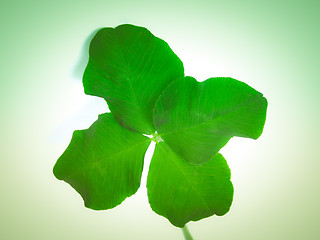 Image showing Retro look Four leaf shamrock