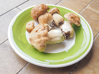 Image showing Porcini Mushroom