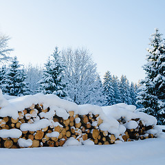 Image showing The cut logs in a winter wood under snowdrifts