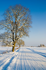 Image showing Winter road in the countryside, a beautiful winter day