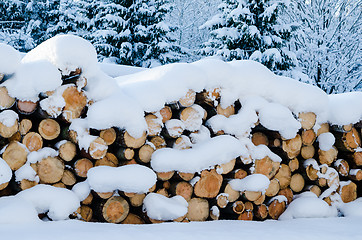 Image showing The cut logs in a winter wood under snowdrifts