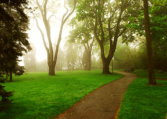 Image showing Foggy park