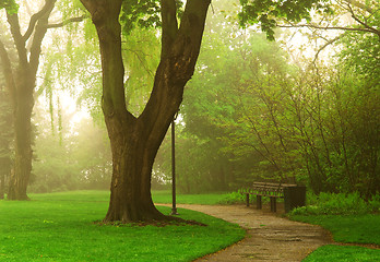 Image showing Foggy park