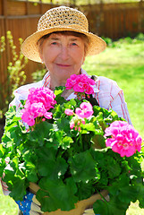 Image showing Senior woman gardening