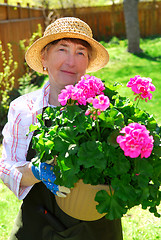 Image showing Senior woman gardening