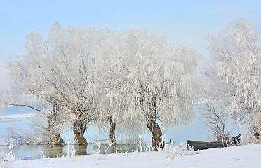 Image showing Frosty winter trees and boat