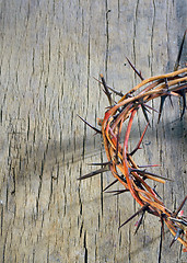 Image showing crown of thorns