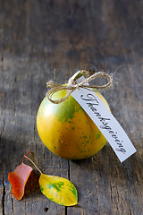 Image showing Thanksgiving pumpkin 