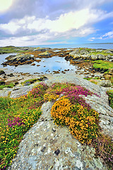Image showing ireland landscape hdr shoot in summer time
