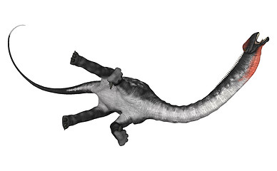 Image showing Dinosaur Apatosaurus