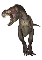 Image showing Dinosaur Tyrannosaurus