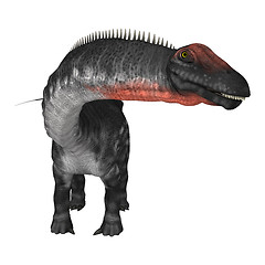 Image showing Dinosaur Apatosaurus