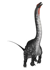 Image showing Dinosaur Apatosaurus