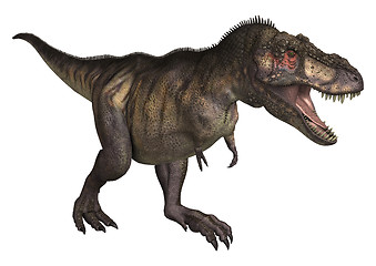 Image showing Dinosaur Tyrannosaurus