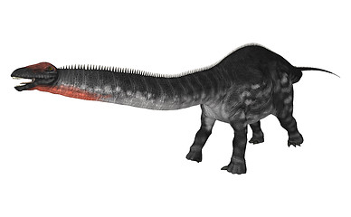 Image showing Dinosaur Apatosaurus