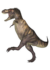 Image showing Dinosaur Tyrannosaurus