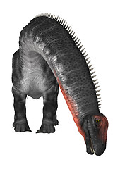 Image showing Dinosaur Apatosaurus