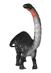 Image showing Dinosaur Apatosaurus