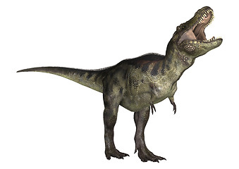 Image showing Dinosaur Tyrannosaurus