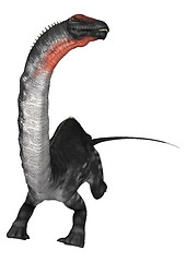 Image showing Dinosaur Apatosaurus