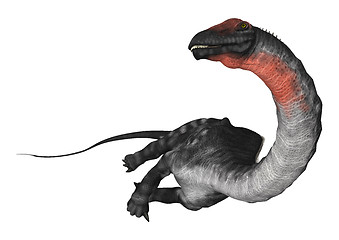 Image showing Dinosaur Apatosaurus