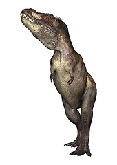 Image showing Dinosaur Tyrannosaurus