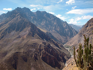 Image showing Colca Canyon