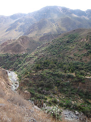 Image showing Colca Canyon