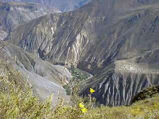 Image showing Colca Canyon