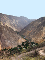 Image showing Colca Canyon