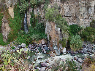 Image showing vegetation at Colca Canyon