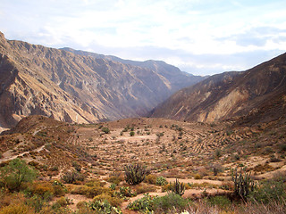 Image showing Colca Canyon