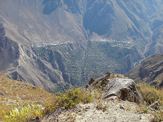 Image showing Colca Canyon