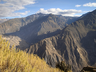 Image showing Colca Canyon