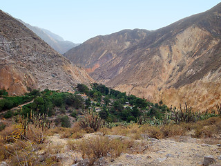 Image showing Colca Canyon