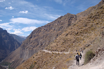 Image showing Colca Canyon