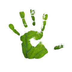 Image showing Handprint with green leaf texture. Isolated on white.