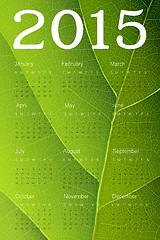 Image showing Calendar 2015 on green leaf texture. Vector