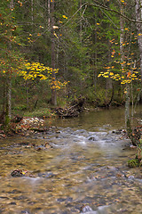 Image showing Small stream